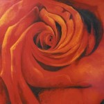 In het hart van de roos